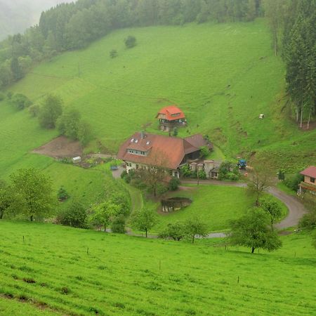 Cosy Farmhouse Apartment At The Edge Of The Forest Mühlenbach エクステリア 写真