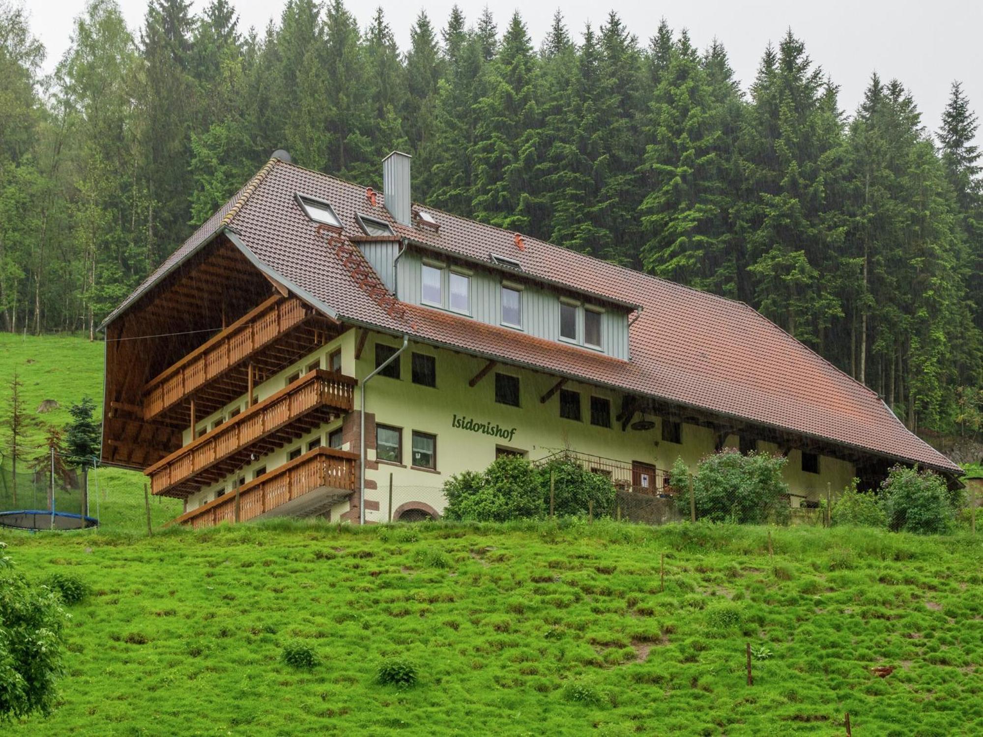 Cosy Farmhouse Apartment At The Edge Of The Forest Mühlenbach エクステリア 写真