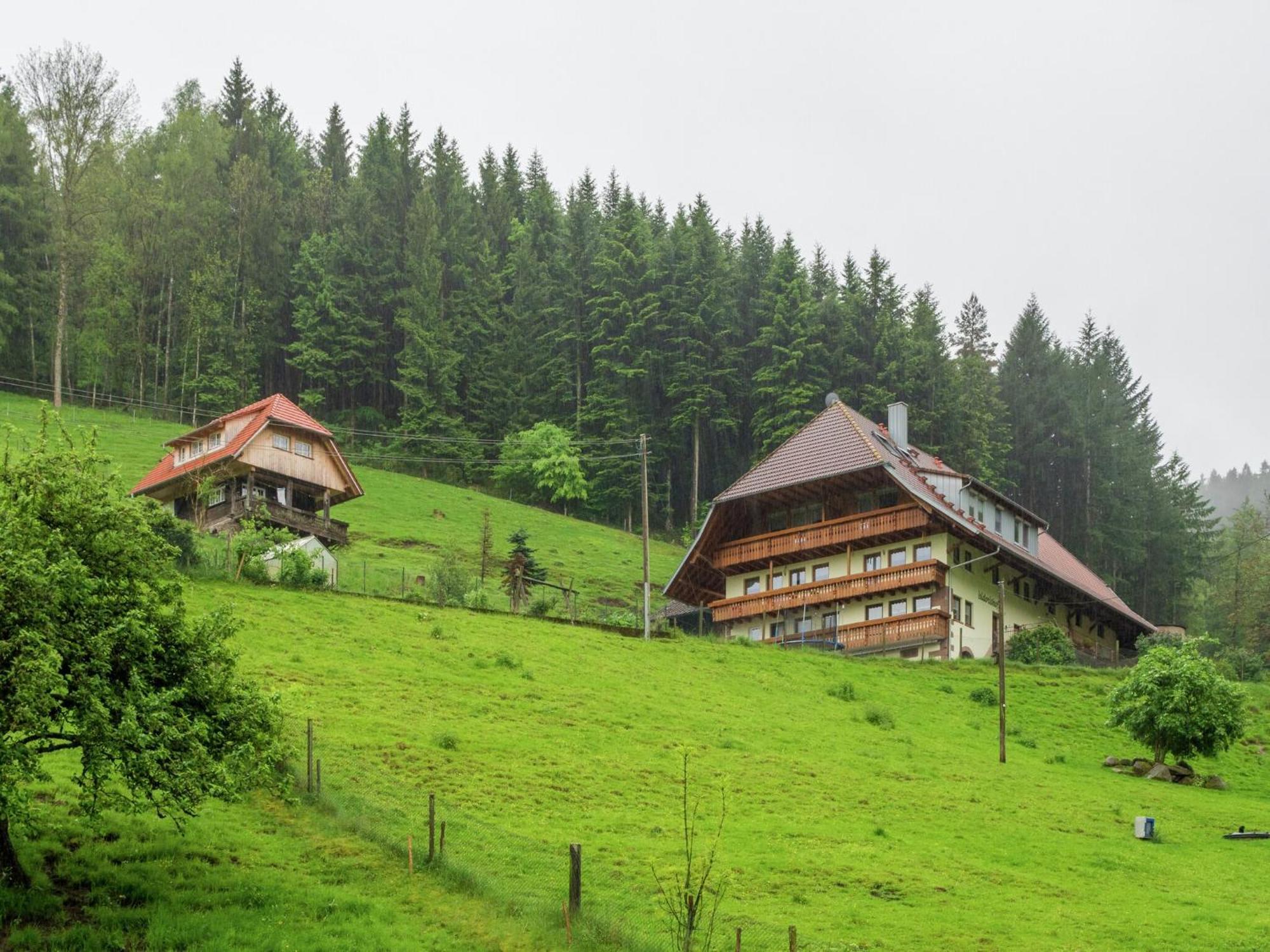 Cosy Farmhouse Apartment At The Edge Of The Forest Mühlenbach エクステリア 写真